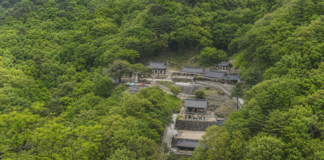 봉화 청량사, 선학정서 0.8km 오르면 청량산 기암절벽 속 천년고찰 봉화 청량산 숲속에 자리한 청량사 전경