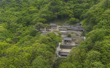 봉화 청량사, 선학정서 0.8km 오르면 청량산 기암절벽 속 천년고찰 봉화 청량산 숲속에 자리한 청량사 전경