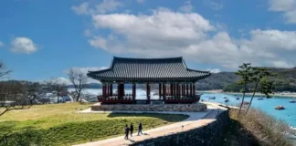 충청수영성 정자와 오천항 바다가 함께 보이는 보령 풍경