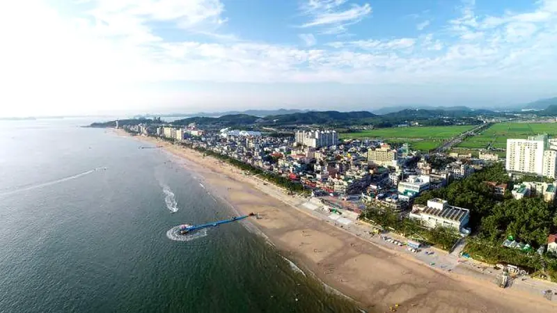대천해수욕장과 보령 시가지 항공 전경