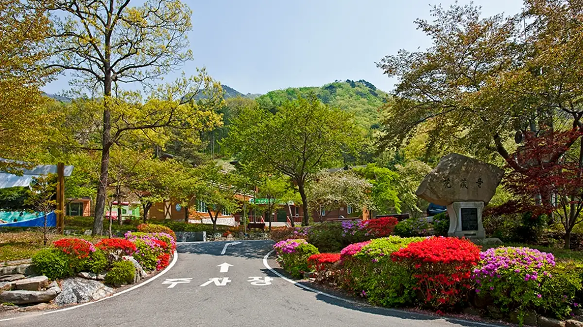 숲과 봄꽃이 어우러진 보령 성주산자연휴양림 입구