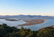 부산 아미산전망대, 낙동강하구 모래섬과 낙조가 한눈에 펼쳐지는 무료 전망대 부산 아미산전망대에서 바라본 낙동강하구 모래섬과 일몰
