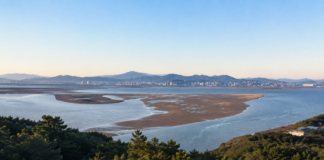 부산 아미산전망대에서 바라본 낙동강하구 모래섬과 일몰