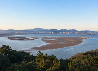부산 아미산전망대, 낙동강하구 모래섬과 낙조가 한눈에 펼쳐지는 무료 전망대 부산 아미산전망대에서 바라본 낙동강하구 모래섬과 일몰