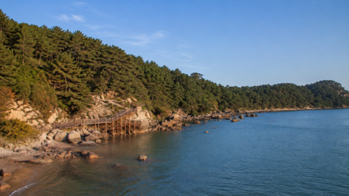 busan-molundae-coastal-boardwalk 부산 몰운대 소나무 숲과 바다를 잇는 해안 산책로