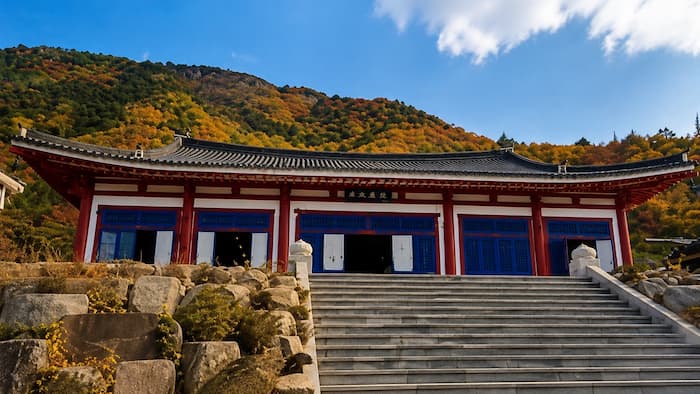 계단 위에 자리한 부여 미암사 법당과 계향산 숲