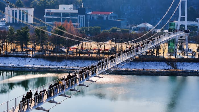 춘천사이로248 출렁다리를 따라 걷는 방문객들