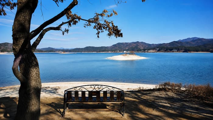 대청호 명상정원 나무 아래 벤치에서 바라본 호수와 작은 섬