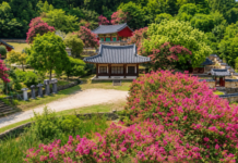 담양 죽림재 전각 앞에 세워진 비석군
