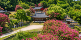 담양 죽림재 전각 앞에 세워진 비석군