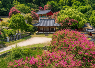 담양 죽림재 전각 앞에 세워진 비석군