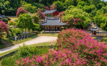 담양 죽림재 전각 앞에 세워진 비석군