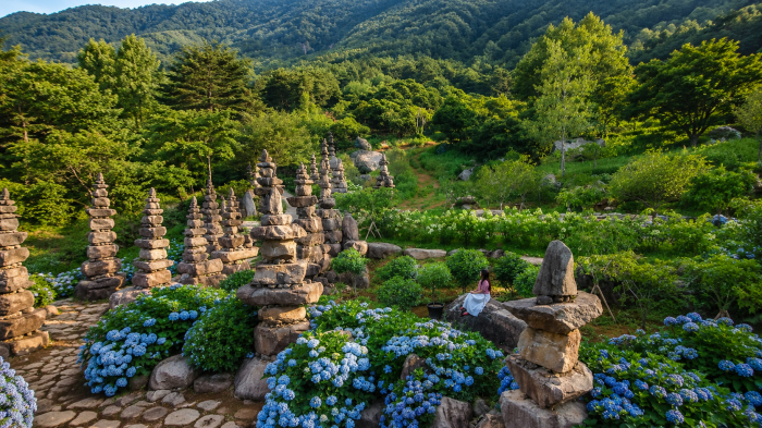 파란 수국과 돌탑, 숲이 어우러진 삼선산수목원 암석원