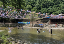 단양 남천계곡, 물놀이축제 끝나도 가족 피서객이 찾는 소백산 청정 계곡 단양 영춘면 남천계곡에서 가족들이 물놀이를 즐기는 여름 풍경