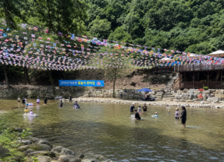 단양 남천계곡, 물놀이축제 끝나도 가족 피서객이 찾는 소백산 청정 계곡 단양 영춘면 남천계곡에서 가족들이 물놀이를 즐기는 여름 풍경