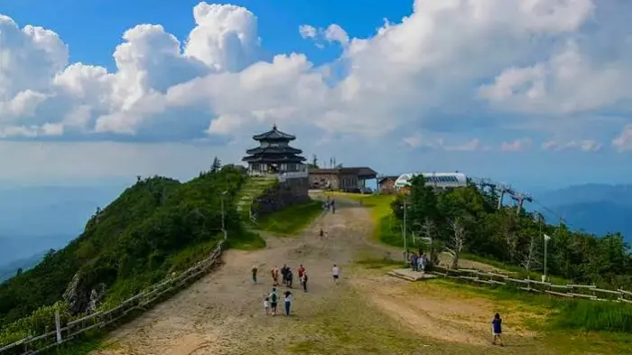 무주덕유산리조트 관광곤도라와 여름 산림