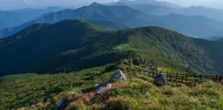 덕유산 향적봉에서 바라본 여름 능선과 고산 탐방로