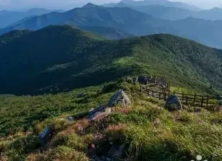 덕유산 향적봉, 해발 1,614m인데 정상까지 600m…곤도라 타고 오르는 고산 절경 덕유산 향적봉에서 바라본 여름 능선과 고산 탐방로