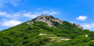 여름 녹음 위로 암릉 정상부가 솟은 가지산 1,241m 전경