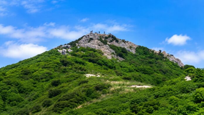 gajisan-1241m-summit-main 여름 녹음 위로 암릉 정상부가 솟은 가지산 1,241m 전경