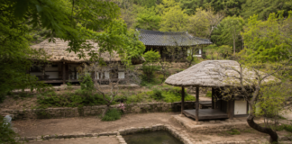 강진 백운동원림 연못과 초가 정자, 한옥이 어우러진 전경