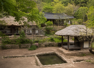 강진 백운동원림, 정약용이 12경으로 남긴 월출산 아래 조선 별서정원 강진 백운동원림 연못과 초가 정자, 한옥이 어우러진 전경
