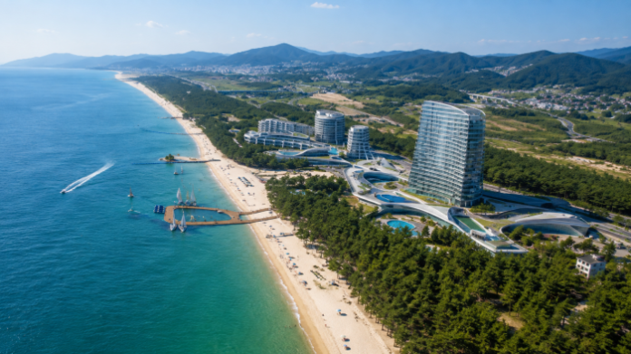 gangneung-yeongok-beach-pine-forest 강릉 연곡해변 700m 백사장과 해안 소나무 숲 전경