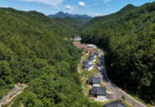 국립금산자연휴양림 숙박요금과 예약법, 4만5000원 신축 숲속의집 이용정보 울창한 산림 계곡에 자리한 국립금산자연휴양림 숙박동 전경