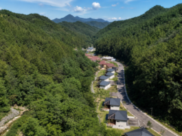 울창한 산림 계곡에 자리한 국립금산자연휴양림 숙박동 전경