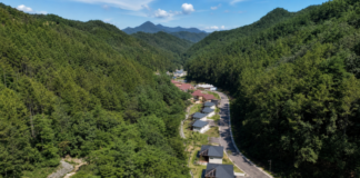 울창한 산림 계곡에 자리한 국립금산자연휴양림 숙박동 전경