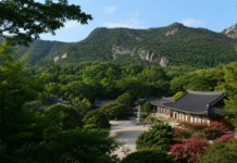 절만 보고 돌아서기엔 길이 너무 길다…고창 선운사, 도솔천 따라 도솔암까지 이어지는 가족 숲여행 선운산 숲과 바위 능선 아래 자리한 고창 선운사 전경