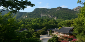 선운산 숲과 바위 능선 아래 자리한 고창 선운사 전경