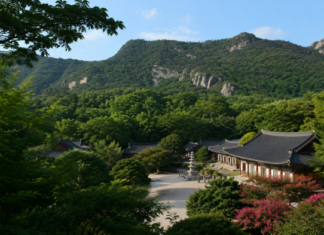 절만 보고 돌아서기엔 길이 너무 길다…고창 선운사, 도솔천 따라 도솔암까지 이어지는 가족 숲여행 선운산 숲과 바위 능선 아래 자리한 고창 선운사 전경