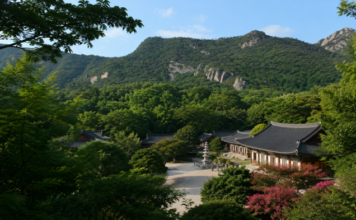 절만 보고 돌아서기엔 길이 너무 길다…고창 선운사, 도솔천 따라 도솔암까지 이어지는 가족 숲여행 선운산 숲과 바위 능선 아래 자리한 고창 선운사 전경
