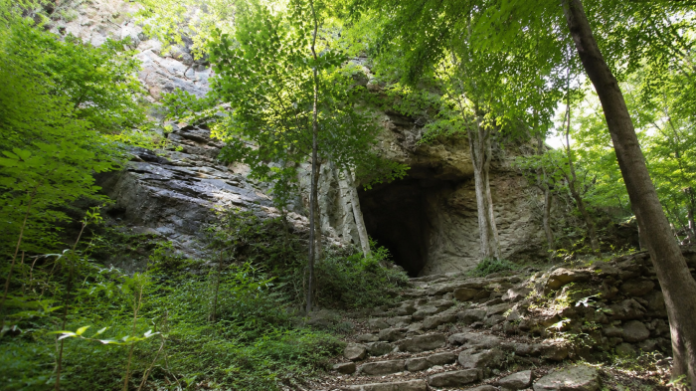 gochang-seonunsan-jinheunggul-forest-cave 고창 선운산 숲속 진흥굴 전경