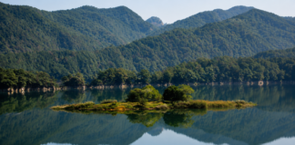 괴산 산막이옛길과 산막이호수길, 괴산호 따라 걷는 두 개의 수변 코스 산과 숲이 비친 괴산호 수면과 나무가 자라는 작은 섬