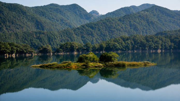 goesan-sanmagi-trail-goesan-lake-island-01 산과 숲이 비친 괴산호 수면과 나무가 자라는 작은 섬