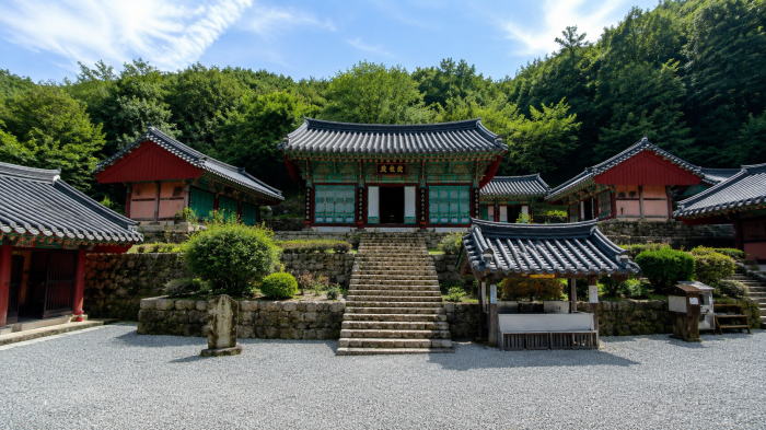 곡성 도림사 보광전과 전통 전각 전경