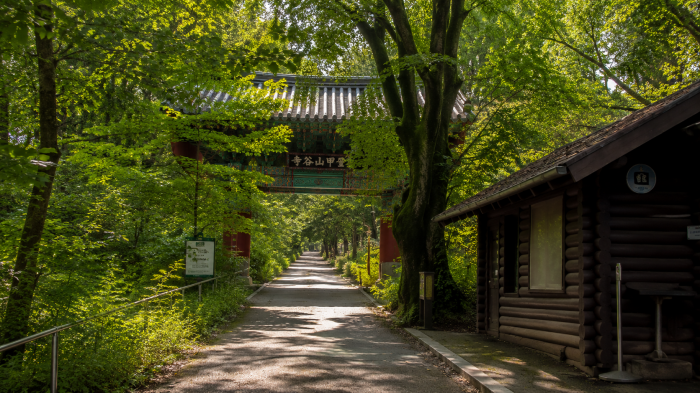 공주 계룡산 갑사 인근 전망대와 산악 풍경