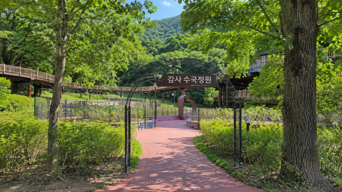 공주 갑사마루 수국정원 입구와 숲길