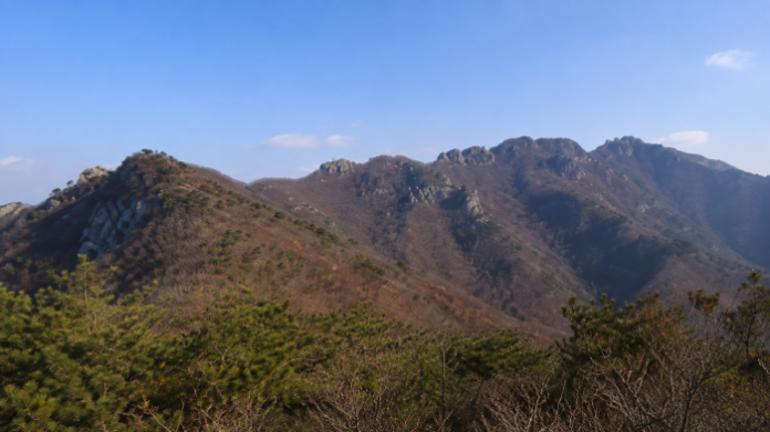 gongju-gyeryongsan-gapsa-ori-forest-road 공주 계룡산 갑사 오리숲길의 울창한 여름 숲