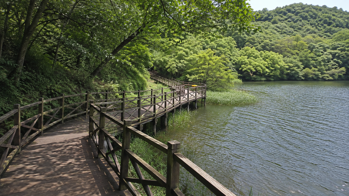 군산 월명호수 수변 데크 산책로