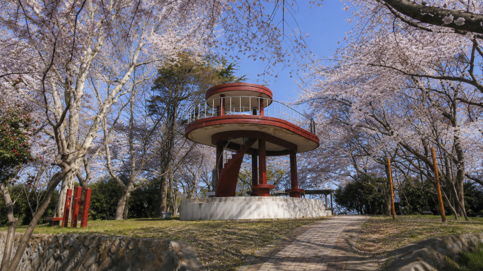 군산 월명공원 벚꽃길과 원형 전망 쉼터