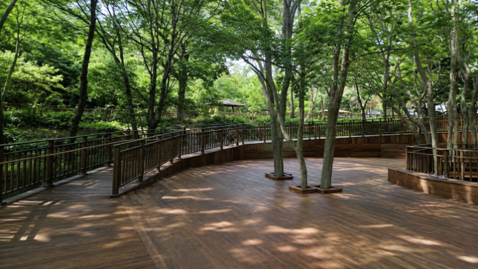 gunsan-wolmyeong-park-forest-deck 군산 월명공원 숲속 무장애 목재 데크 산책로