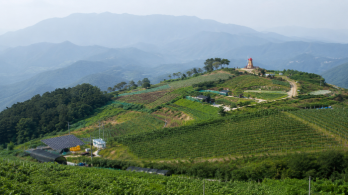 군위 화산산성 전망대와 고랭지 밭, 겹겹이 이어진 산줄기