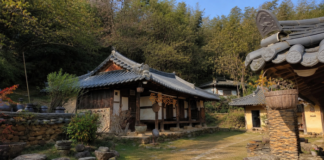 구례 쌍산재, 1만원 내고 들어가는 300년 고택…대나무숲 지나면 정원이 또 열린다 구례 쌍산재 한옥과 돌담 장독이 어우러진 전통 정원