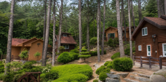 광양 백운산자연휴양림 숲속의 집과 울창한 나무숲
