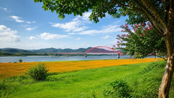 gwangyang-seomjingang-orange-cosmos-bridge-main 섬진강대교와 황화코스모스 꽃밭이 함께 보이는 광양 진월면 월길리 강변