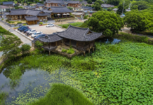 연꽃으로 뒤덮인 서출지와 이요당, 경주 남산동 한옥마을 항공 전경