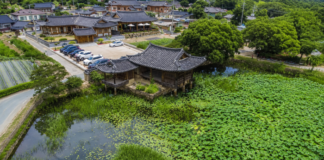 연꽃으로 뒤덮인 서출지와 이요당, 경주 남산동 한옥마을 항공 전경